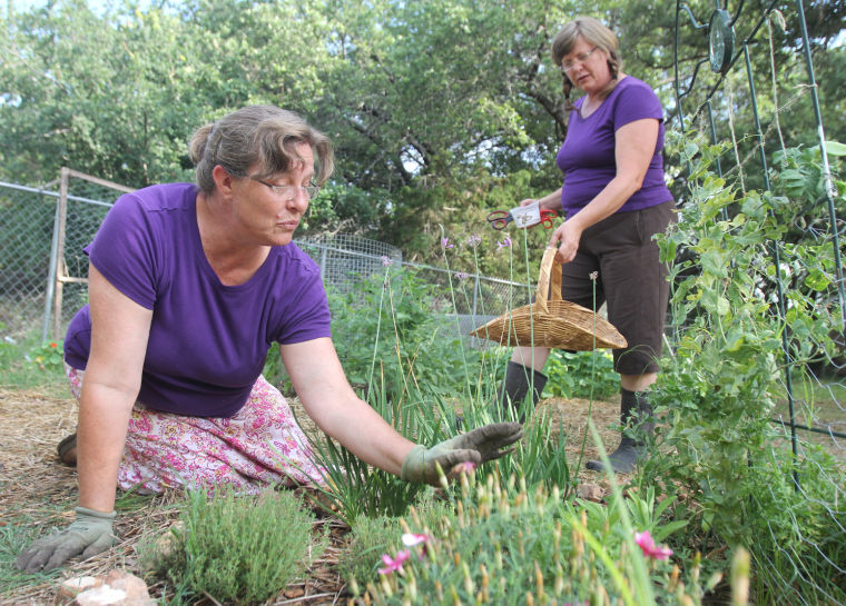 Organic Gardening